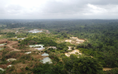 Akyem Asamama: From Mining Impact to Forest Restoration