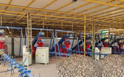 Sokoban Biomass Briquette Carbon Project – Ghana 